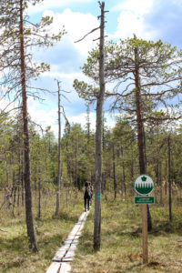 Retkellä Salamaperän luonnonpuistossa. Kuva: Suvi-Tuulia Leinonen/retkeilyKS