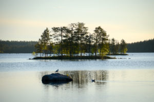 Iso Koirajärvi aamulla. Kuva: Upe Nykänen/retkeilyKS