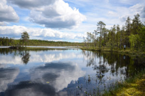 Pieni Koirajärvi. Kuva: Upe Nykänen/retkeilyKS
