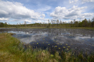 Pieni Koirajärvi. Kuva: Upe Nykänen/retkeilyKS