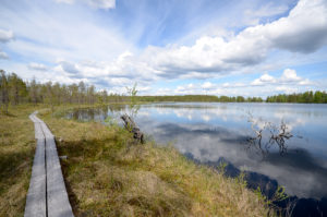 Vasan kierros Pienen Koirajärven ympäri. Kuva: Upe Nykänen/retkeilyKS