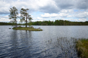 Pieni Koirajärvi. Kuva: Upe Nykänen/retkeilyKS