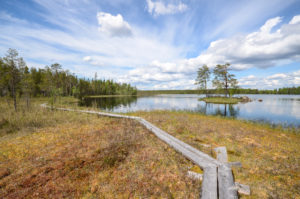 Vasan kierros Pienen Koirajärven ympäri. Kuva: Upe Nykänen/retkeilyKS