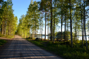 Koirasalmi, Ison Koirajärven rantamaisemaa. Kuva: Upe Nykänen/retkeilyKS