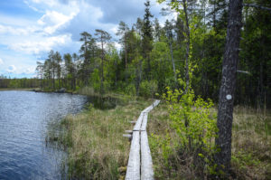 Vasan kierros Pienen Koirajärven ympäri. Kuva: Upe Nykänen/retkeilyKS