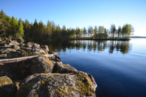 Rakkakivikko yltää Ison Koirajärven rantaan saakka. Kuva: Upe Nykänen/retkeilyKS