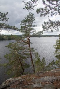 Maisema Saraakallioilta Laukaan kirkolle päin. Kuva: Upe Nykänen