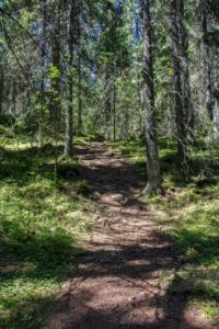 Vaarunvuorten luontopolkua. Kuva: Elina Lamminaho/retkeilyKS