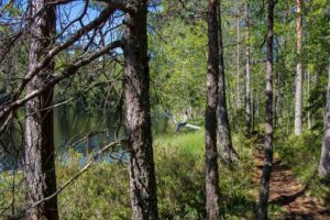 Vaarunvuoren luontopolun järvimaisemissa. Kuva: Elina Lamminaho/retkeilyKS
