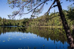 Vaarunvuorten luontopolun järvimaisemaa. Kuva: Elina Lamminaho/retkeilyKS