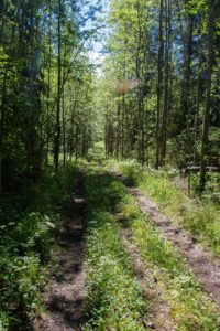 Vanha Vaaruntie. Kuva: Elina Lamminaho/retkeilyKS