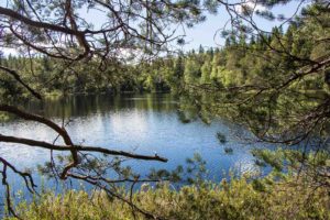Vaarunvuorten luontopolun järvimaisemaa. Kuva: Elina Lamminaho/retkeilyKS