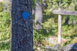 Vaarunvuorten luontopolku on merkitty sinisillä maalitäplillä. Kuva: Marjo Nevalainen/retkeilyKS
