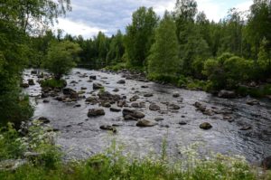 Survosenkoski, Wanha Witonen. Kuva: Upe Nykänen/retkeilyKS