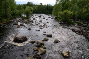 Survosenkoski, Wanha Witonen. Kuva: Upe Nykänen/retkeilyKS