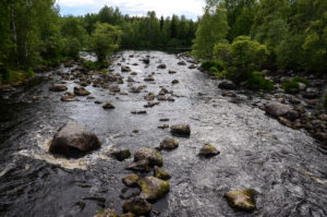Survosenkoski, Wanha Witonen/retkeilyKS