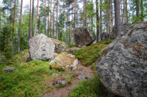 Mäyräniemi