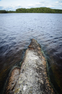 Mäyräniemen kallio