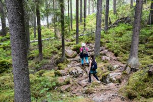 Kaksi patikoijaa Isojärven kansallispuistossa