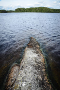 Mäyräniemi, kallio.