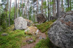 Mäyräniemi.
