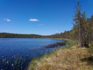 Kotajärvi, Pyhä-Häkin kansallispuisto/retkeilyKS