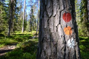 Pyhä-Häkin kansallispuiston polut on merkitty hyvin maalimerkeillä. Kuva: Upe Nykänen/retkeilyKS