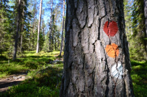 Pyhä-Häkin kansallispuiston polut on merkitty hyvin maalimerkeillä.
