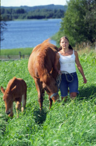 Nainen seisoo hevosen ja sen varsan vieressä vihreällä niityllä.