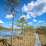 Kansikuva: Leivonmäen kansallispuisto